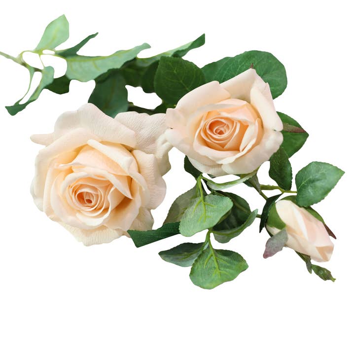 Angel Isabella – wholesale Konstgjorda blommor – 27"-Äkta beröring fuktad beläggning ros stjälk-Persikokorall