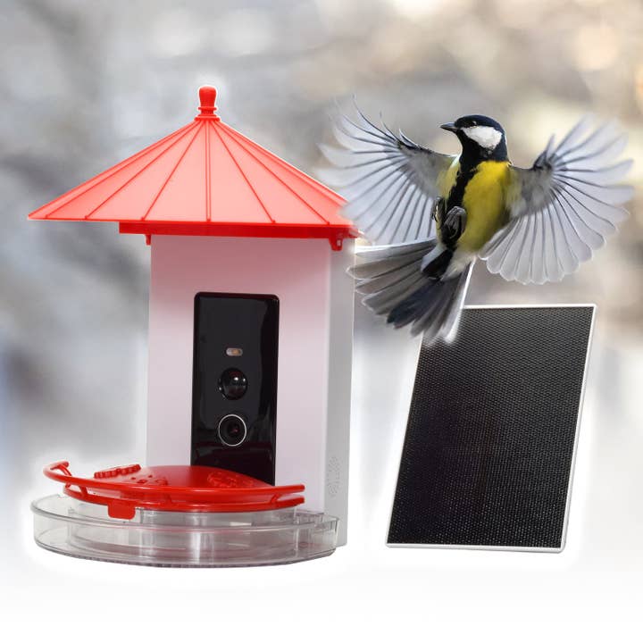 MobileVision - Wholesale Bird Feeder - Smart Hummingbird Feeder10