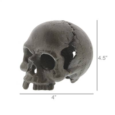 HomArt - Wholesale Decorative Tabletop Object - Skull, No Jaw - Natural