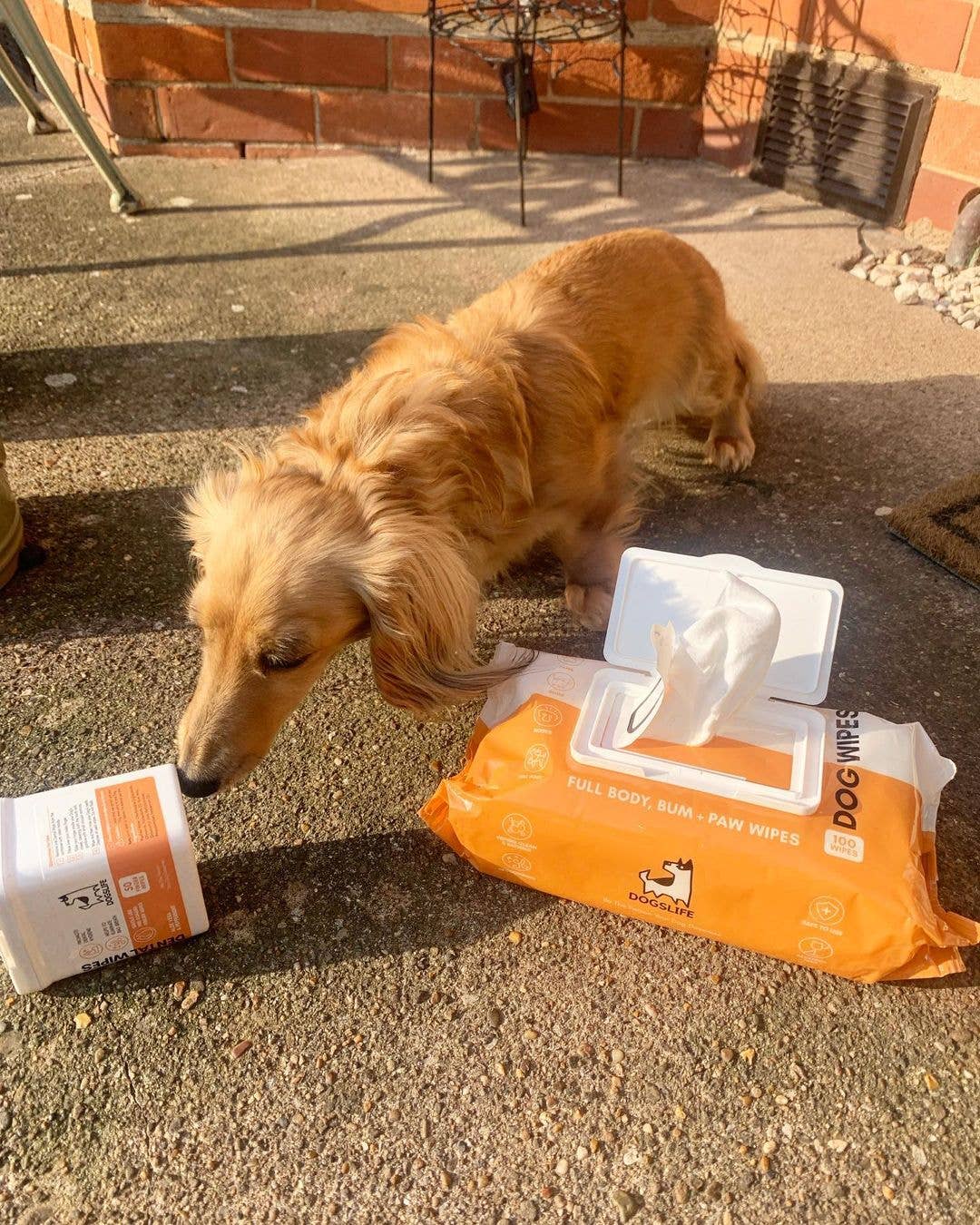 OurPetsLife - Wholesale Pet grooming aid – Dog - Scented Dog Wipes9