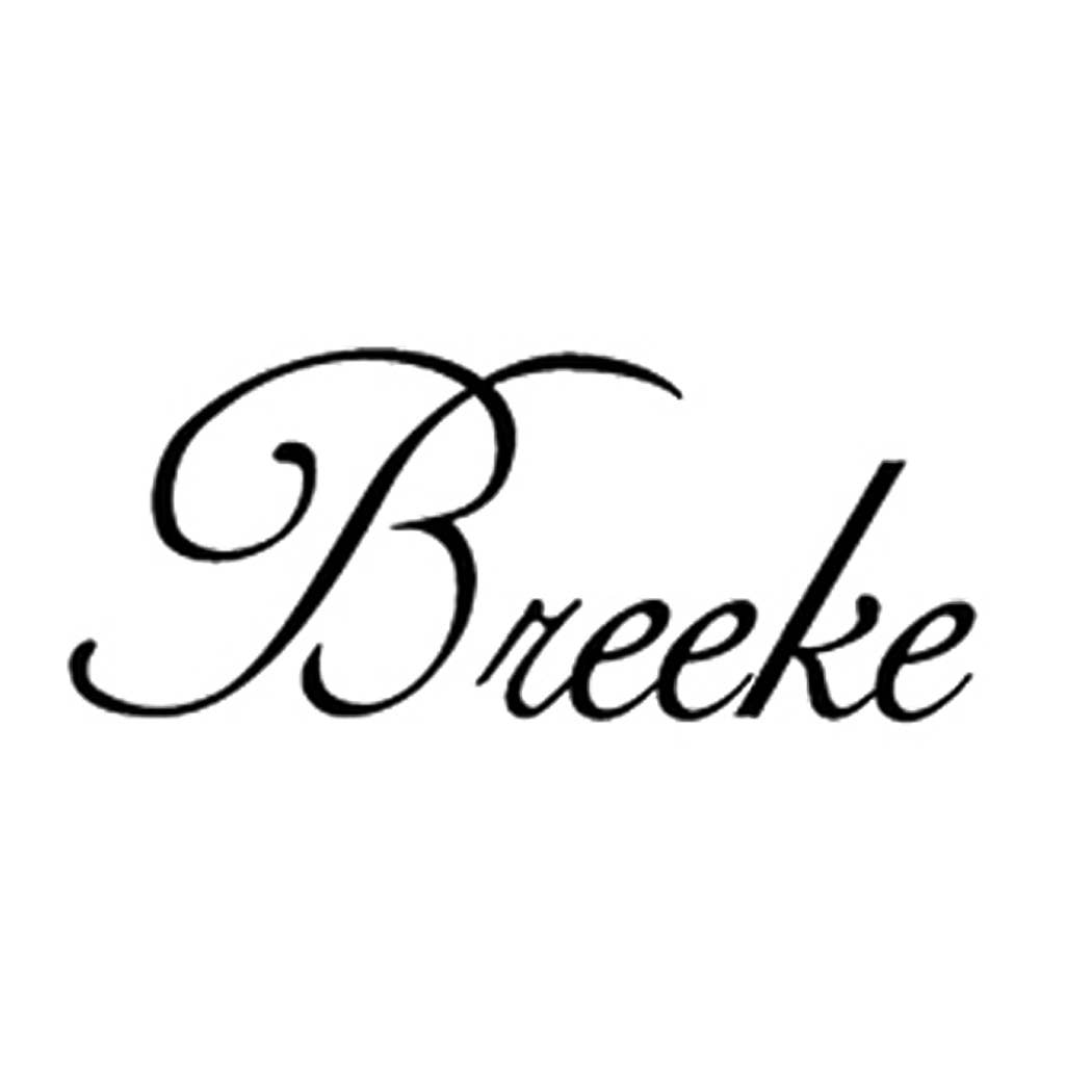 Breeke - Wholesale T-Shirt - Women's - Van Gogh Irises - 3/4 Sleeve Shirt (IRISES-3/4)2