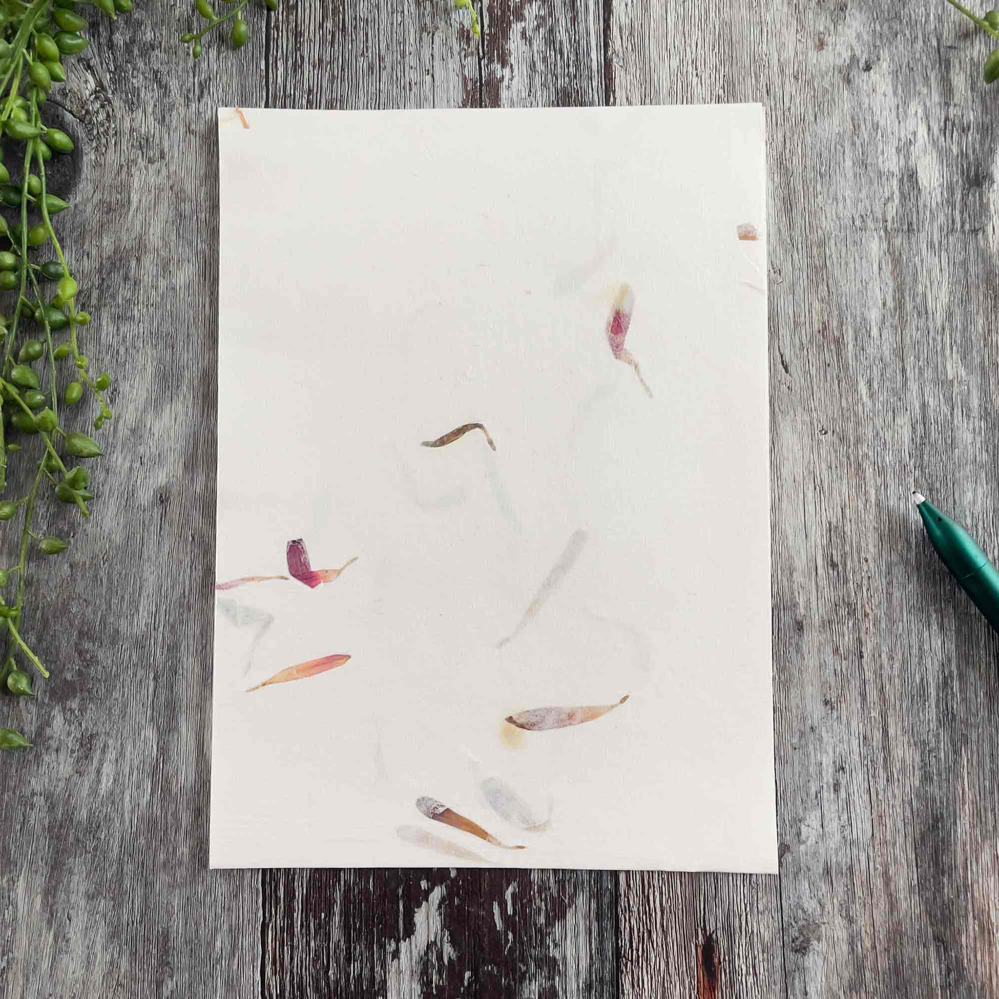 The Natural Paper Company - Wholesale Stationery/Notecard Set - Aster - Floral Handmade Paper and Envelope Set0
