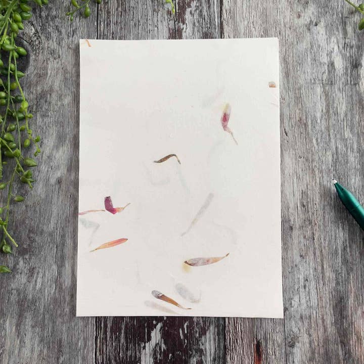 The Natural Paper Company - Wholesale Stationery/Notecard Set - Aster - Floral Handmade Paper and Envelope Set