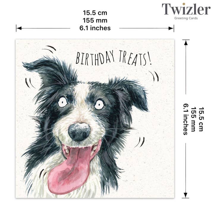 Twizler Ltd - Vendita all'ingrosso Biglietti di auguri - Dolcetti di compleanno Border Collie - Divertente biglietto di compleanno2