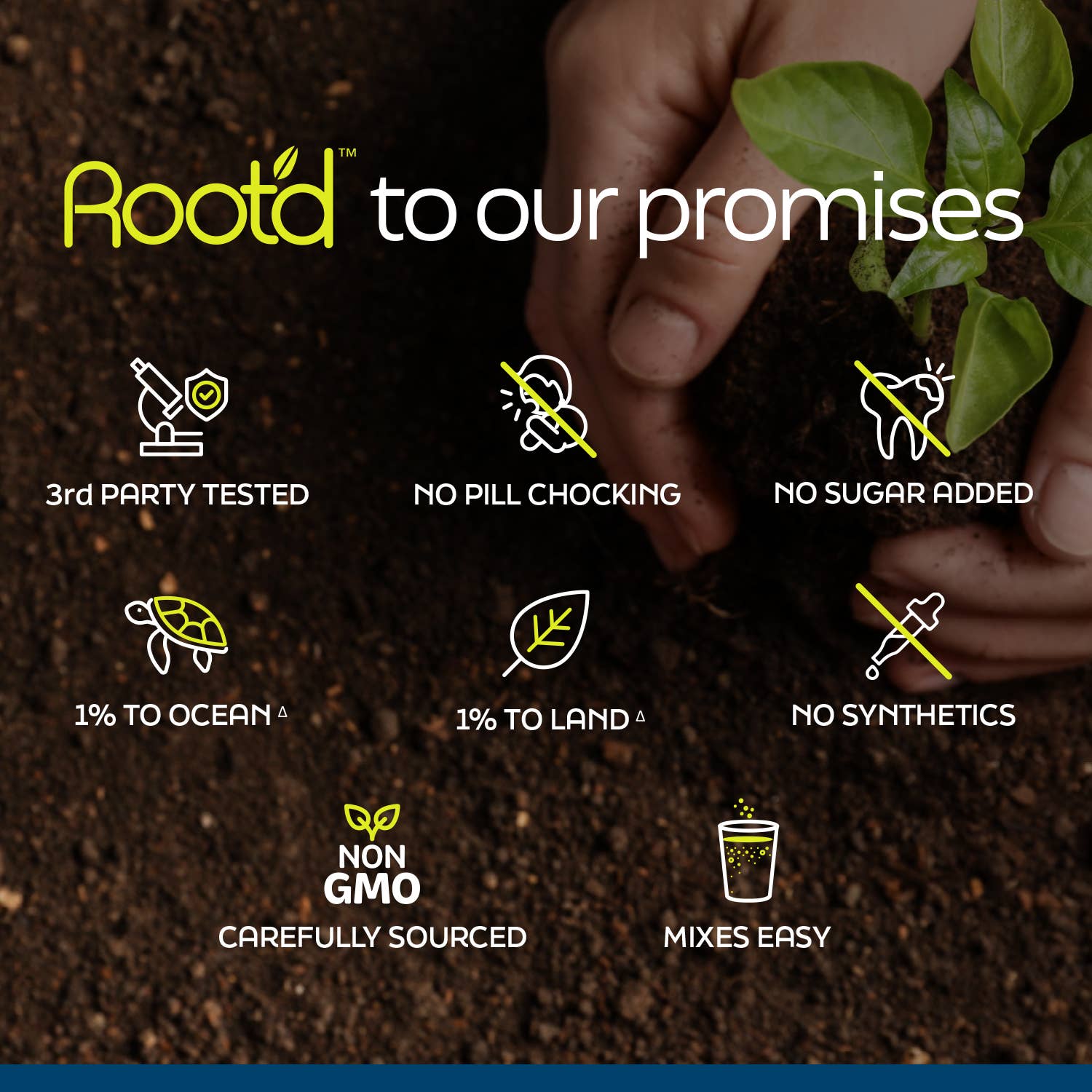 Root'd – wholesale Hälsodryck i pulverform – Hans MULTI + elektrolyter - 6 räkningar10