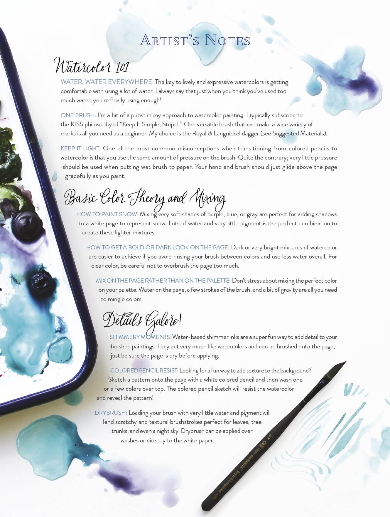 Schiffer Publishing - Wholesale Coloring & Activity Book - Adult - Kristy's Winter Cutting Garden: A Watercoloring Book3