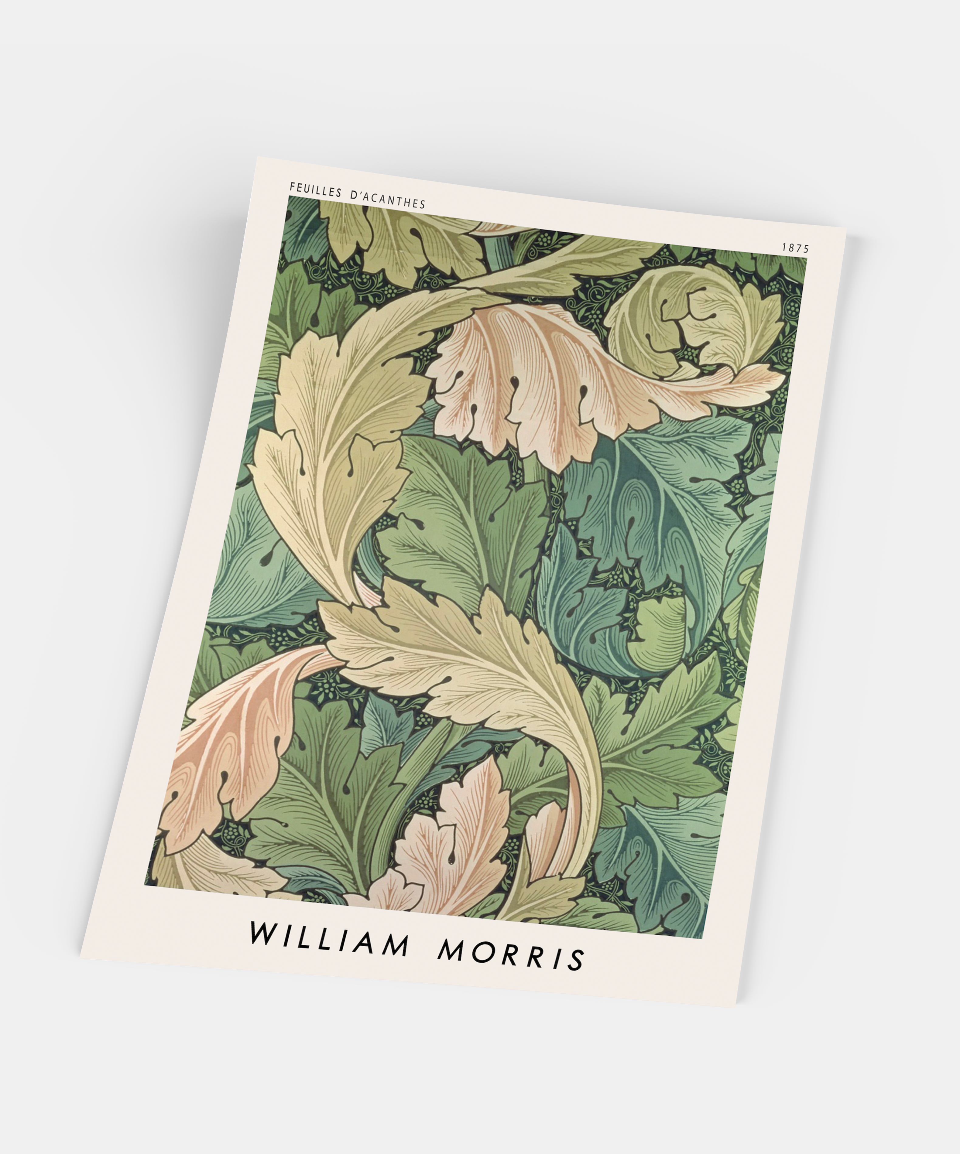 Gustave - Wholesale Art Print - William Morris, Acanthus Leaves1