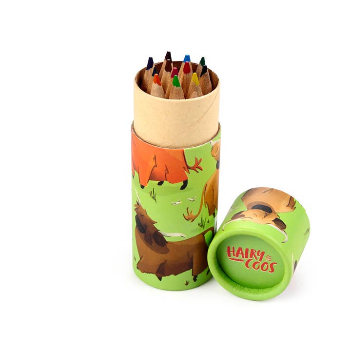 Puckator Ltd - Wholesale Coloured pencil - Hairy Coos Highland Coo Pencil Pot with 12 Colouring Pencils3
