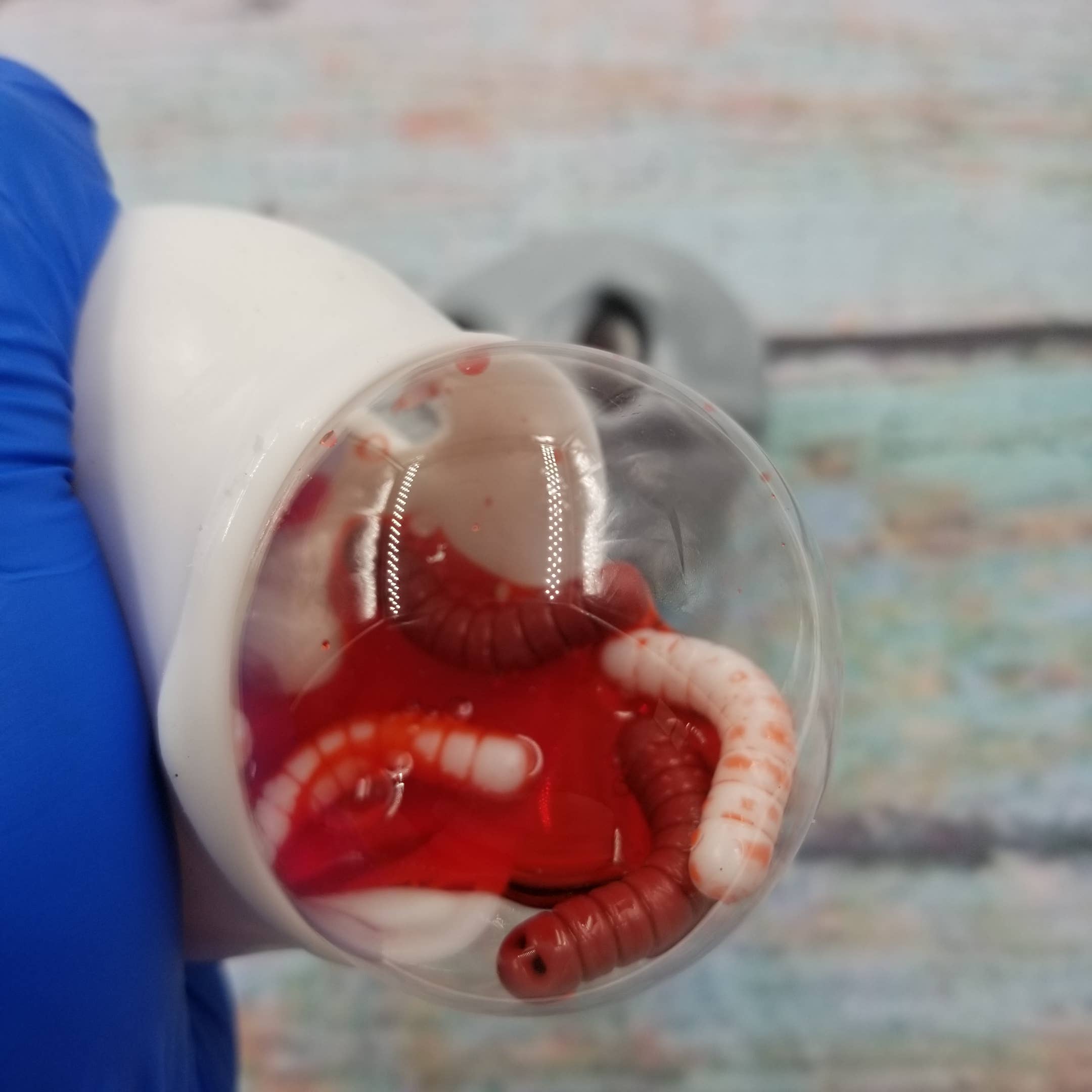 MIAS SHOP - Wholesale Squishy Toy - Kids & Baby - Squeeze Skull Toy Kneading Decompression Halloween Toys4