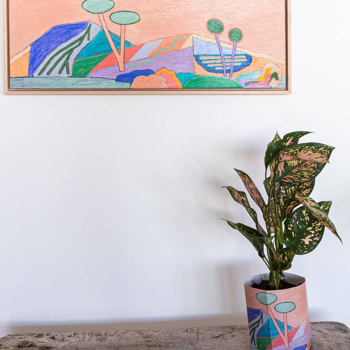 Sow 'n Sow - Wholesale Plant pot - Pop Up Pot 'Yonder' Small5