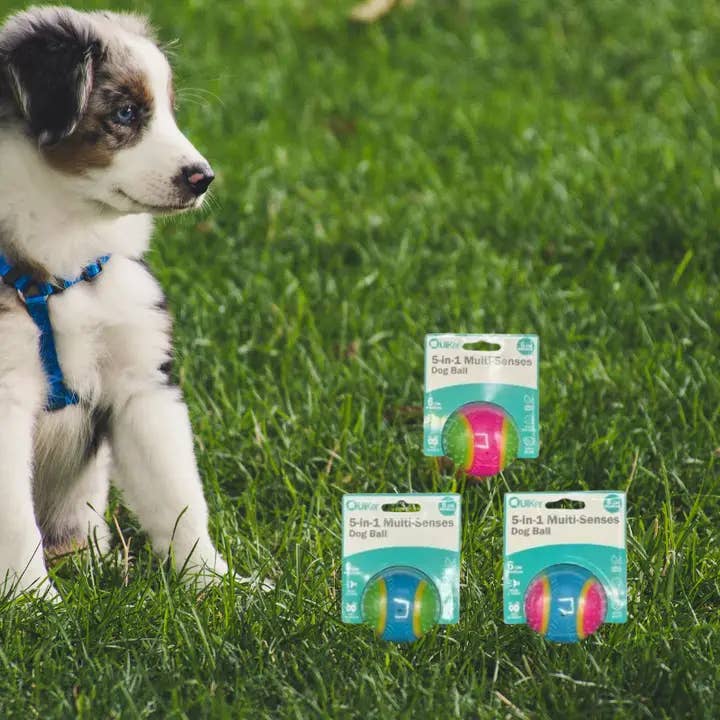 Quiker Pet Products – wholesale Pet toy – Dog – 5-in-1 Multi-Senses Dog Toy Ball 6cm - 3 Pack Inner4