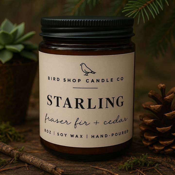 Bird Shop Candle Co - Wholesale Jar/Filled Candle - Starling0