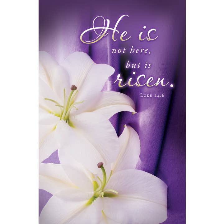 Warner Press - Wholesale Stationery/Notecard Set - Easter Bulletin - He Is Not Here