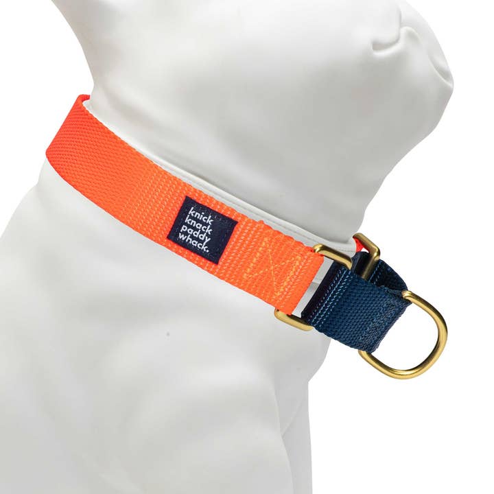 Neon Orange & Marinblå Martingal för wholesale av Knick Knack Paddywhack Dog Gear
