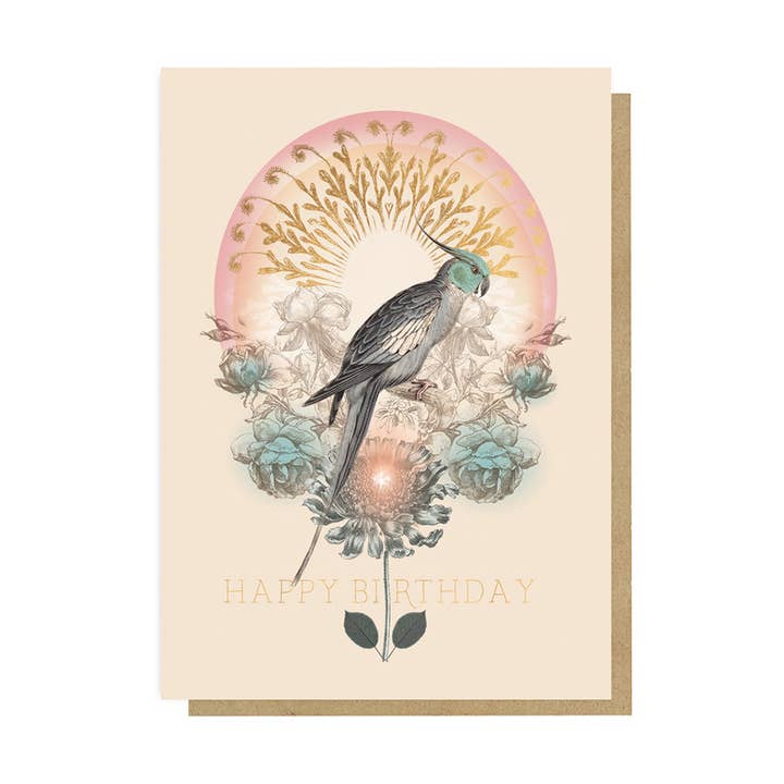 Cartão de Aniversário com Periquito por atacado de PAPAYA