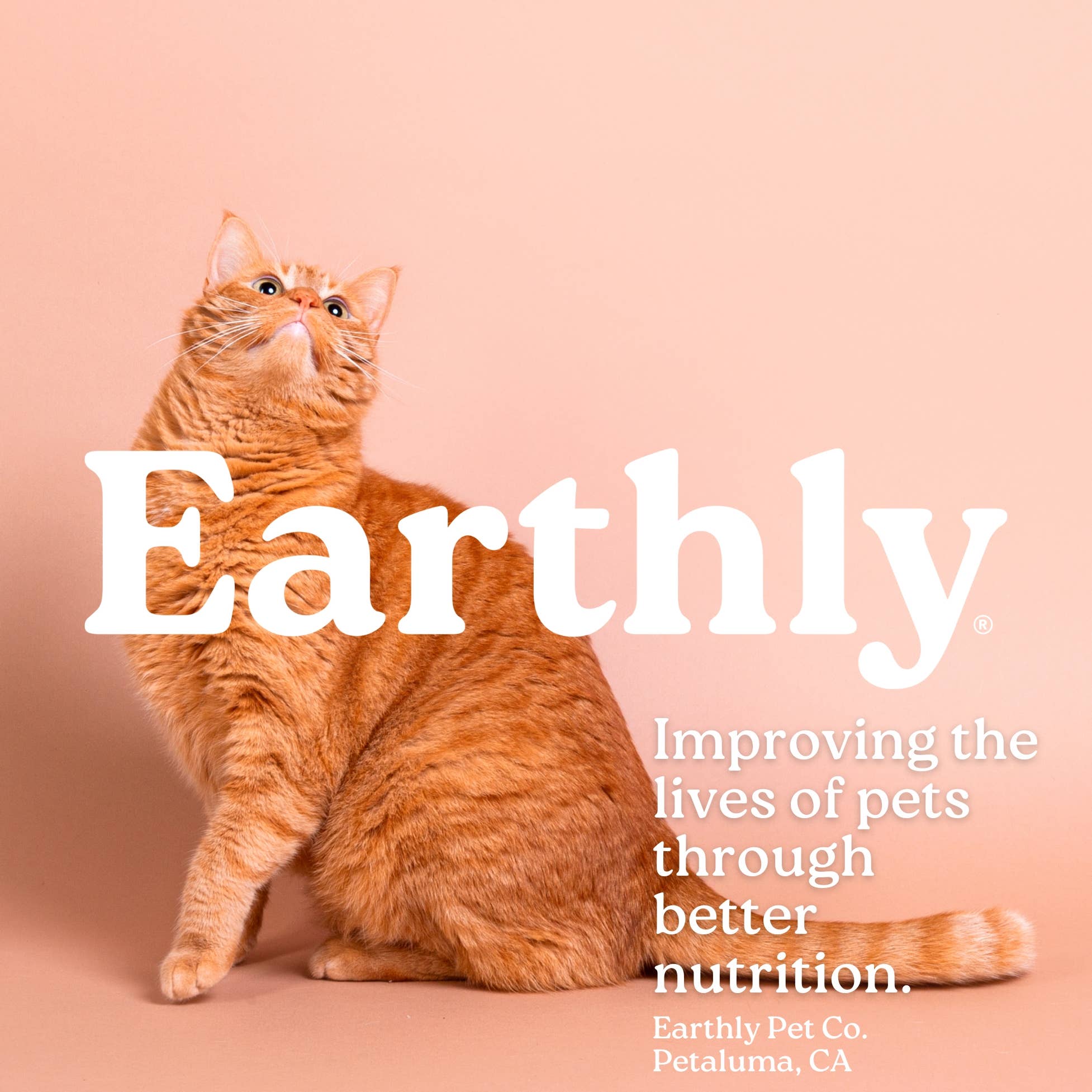 Earthly Pet Company - Wholesale Pet Treats - Cat - Cat Sushi Crunch Sake Pure Wild Salmon Bites 1.5oz3