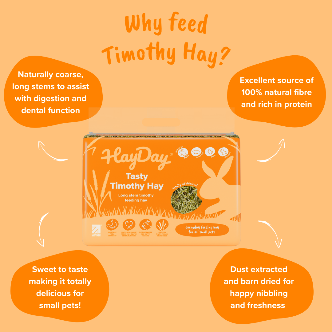 HayDay - Wholesale Pet Food - Not Cat/Dog - Tasty Timothy Hay 1kg2