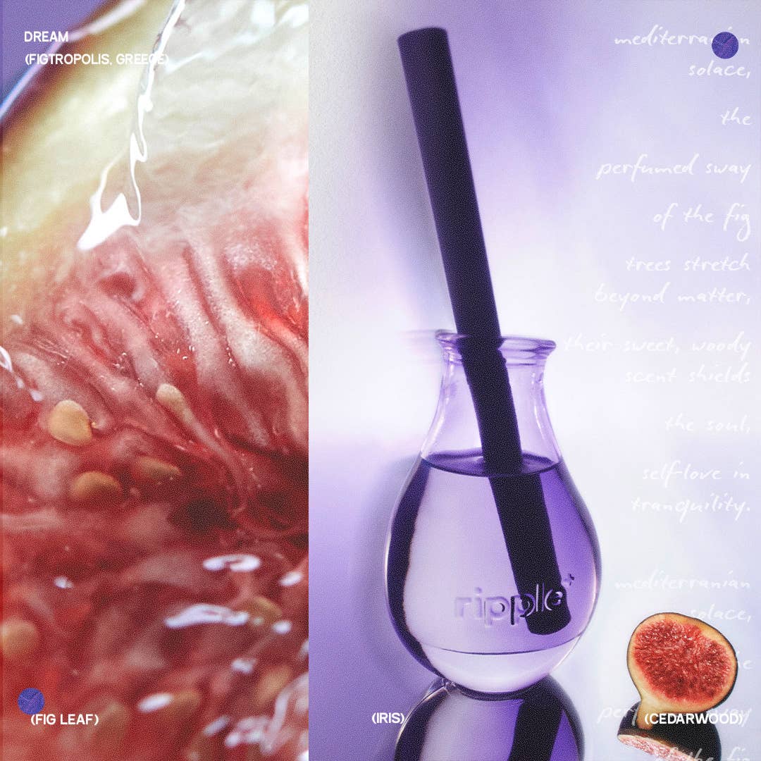 ripple⁺ home - Wholesale Reed Diffuser - Fig Leaf Scented Reed Diffuser | 150ml | Luxury Scents5