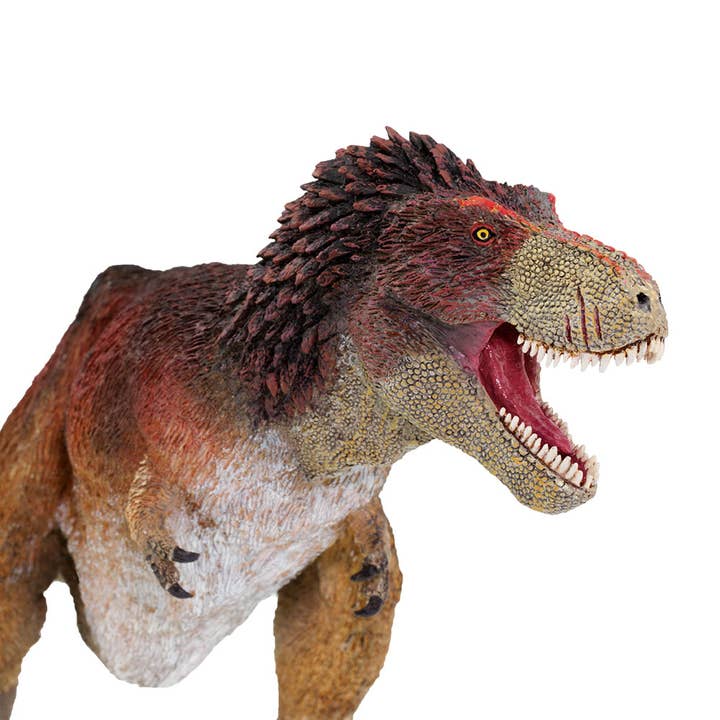 Safari Ltd. - Wholesale Figurine Toy - Kids - Feathered Tyrannosaurus Rex - 100031