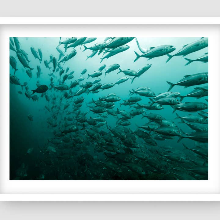 Die Schule ist raus für den Großhandel von Above And Below Gallery