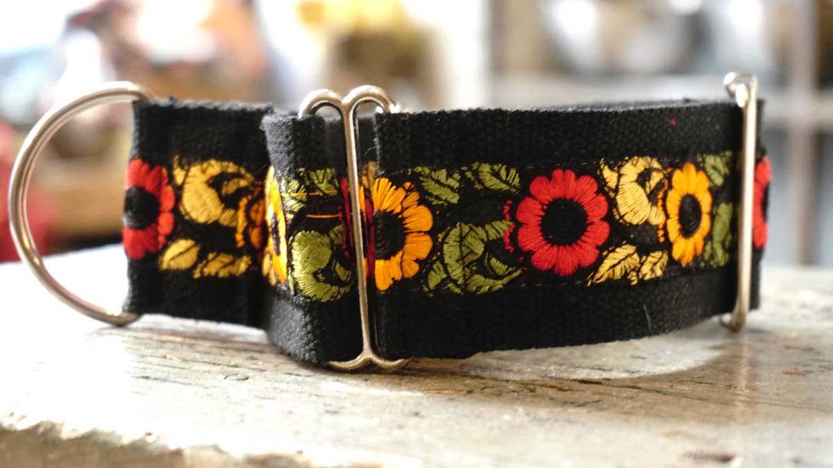 hundsfutter - Wholesale Pet Collar - Dog - Wide collar anti escape design12