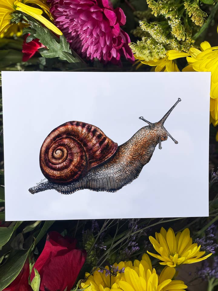 Snailed It for wholesale by Busy Lizzy Ink