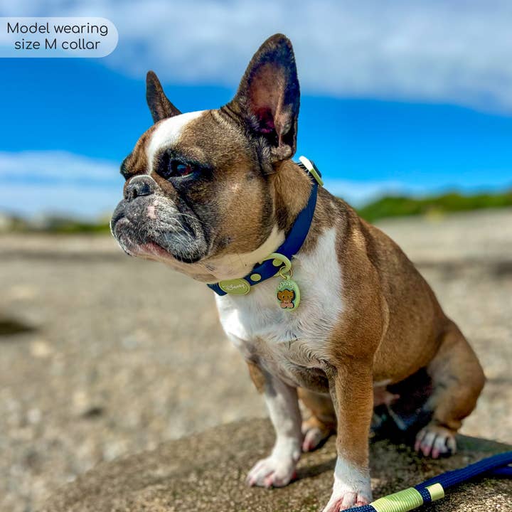 Pawsome Paws - Wholesale Pet Collar - Dog - Disney© Waterproof Collar - Simba6