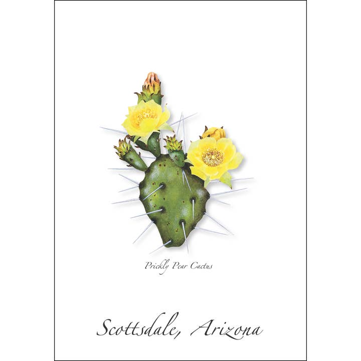 Prickly Pear Cactus Everyday Greeting Card for wholesale by Earth Sky + Water