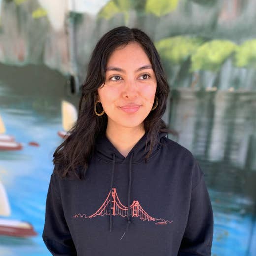 Men's/Unisex GGB Pullover Hoody for wholesale by New Skool