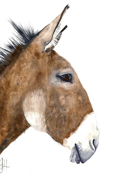 Tea Towel - Donkey for wholesale by DOLLY ESTELLE