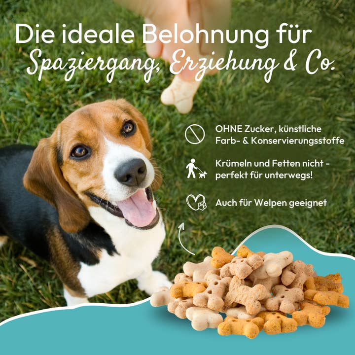 Kauartikel.com GmbH - Wholesale Pet Treats - Dog - PHA NaturSnack for dogs 200g