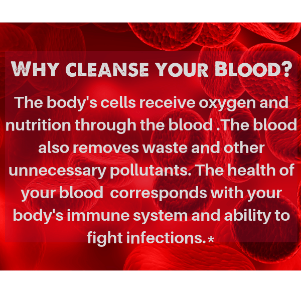 SpeedyVite® – Suplemento/vitamina oral por atacado – Suplemento SpeedyVite® Limpador de Sangue Natural (2 gotas Fl oz4