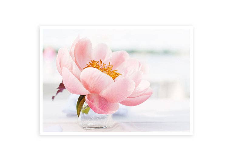 Hey!Cards GmbH & Co. KG - Vente Cartes postales - fleur rose | carte postale | anniversaire0