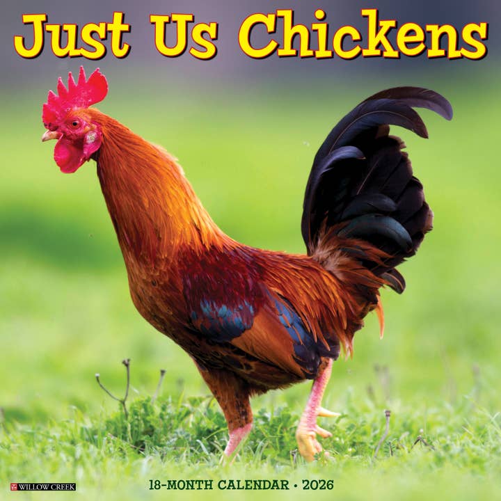 Just Us Chickens 2026 Wall Calendar for wholesale by Willow Creek Press & Gifts
