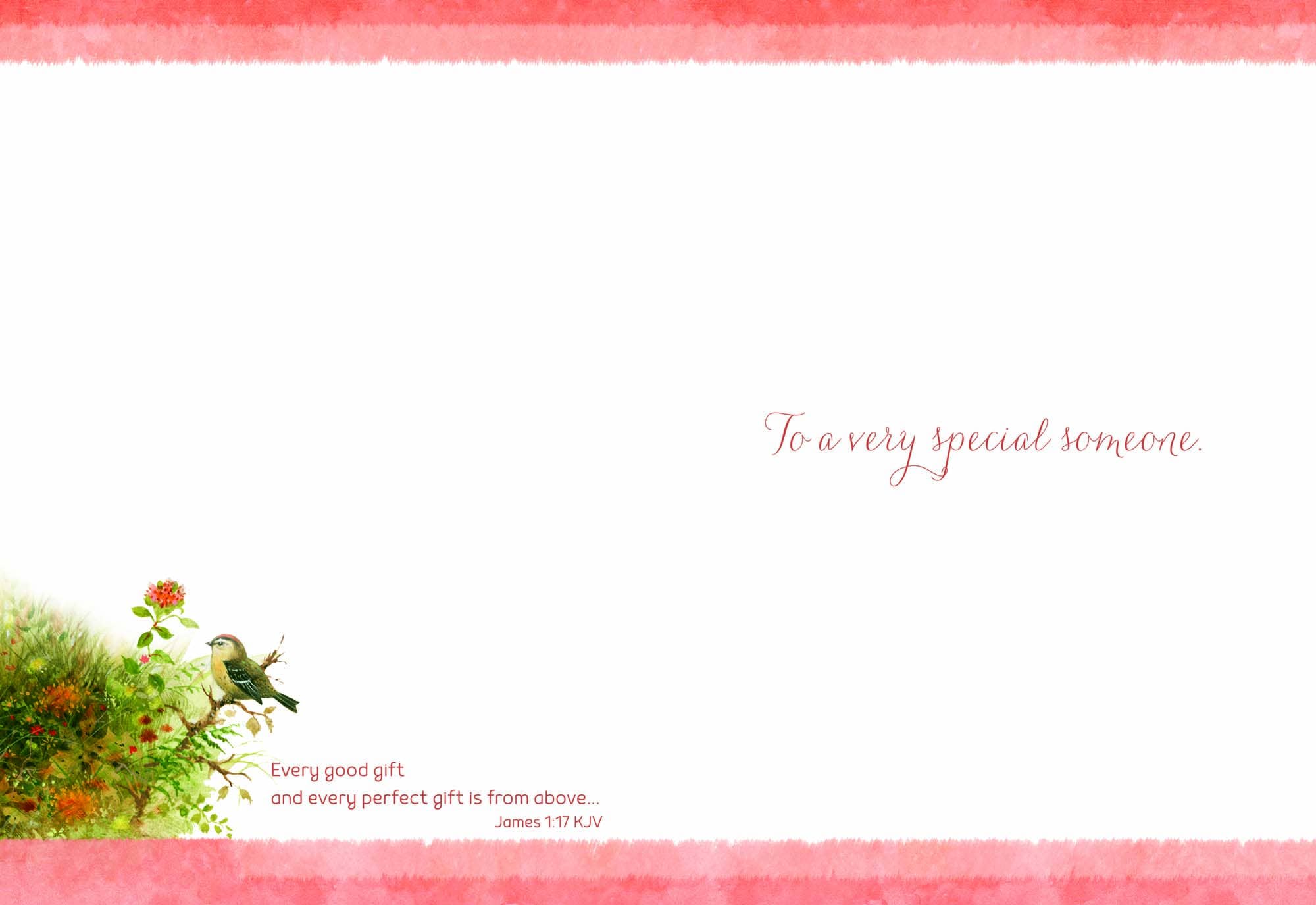 Crown Point Graphics - Vente Cartes d'anniversaire - Cartes d'anniversaire religieuses - Petite faune | 12 cartes7