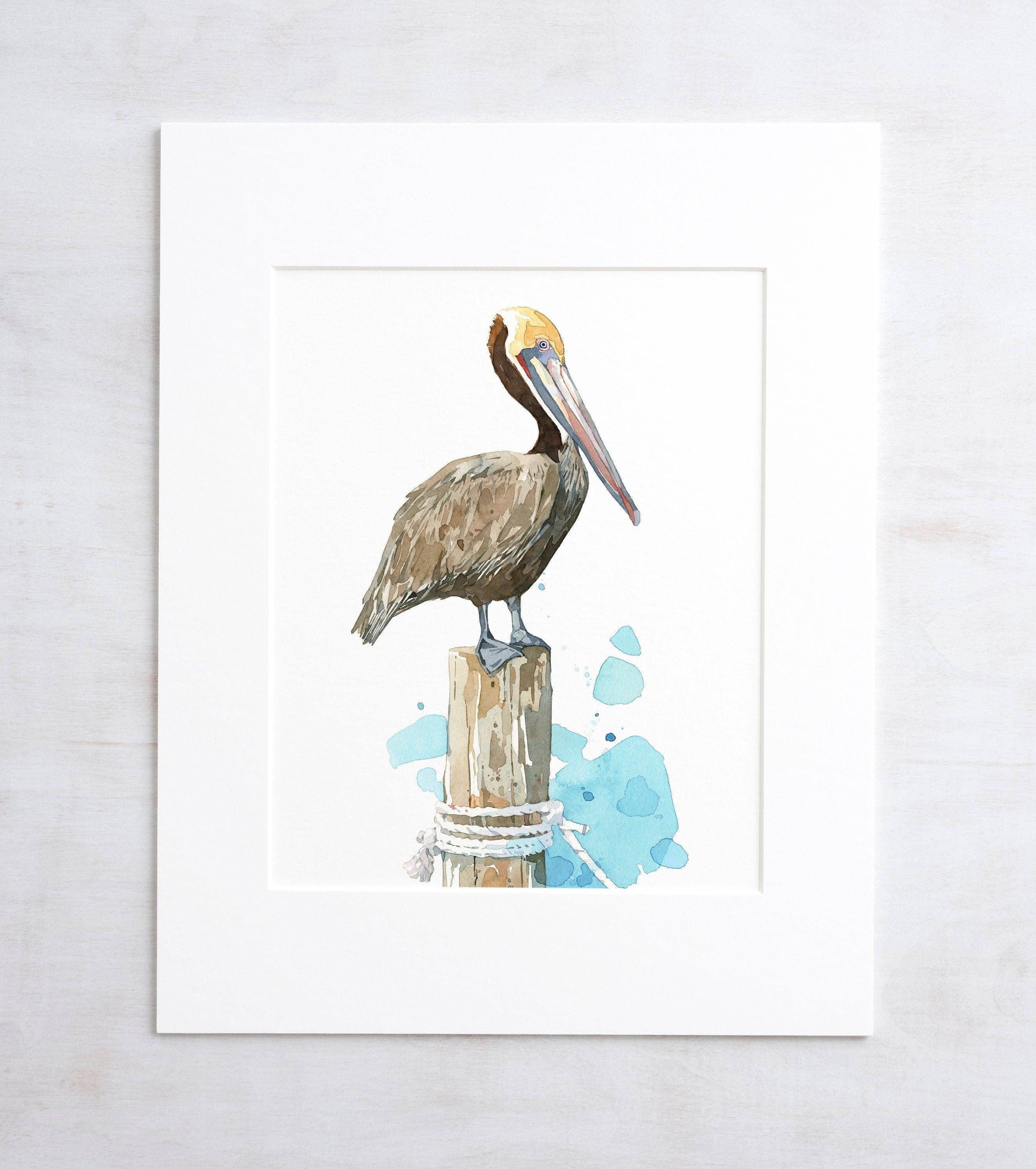 Studio Tuesday - Wholesale Art Print - Pelican Watercolor Art Print, Nautical Bird Painting0