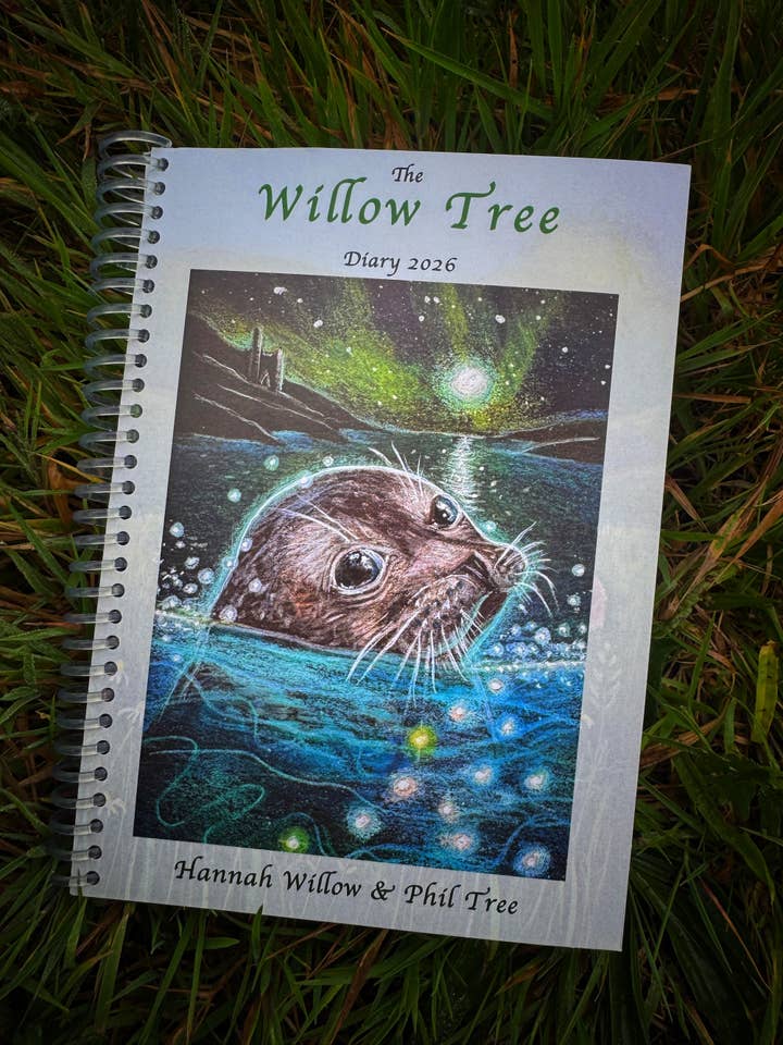 Hannah Willow 2026 Diary for wholesale by Hannah Willow Art