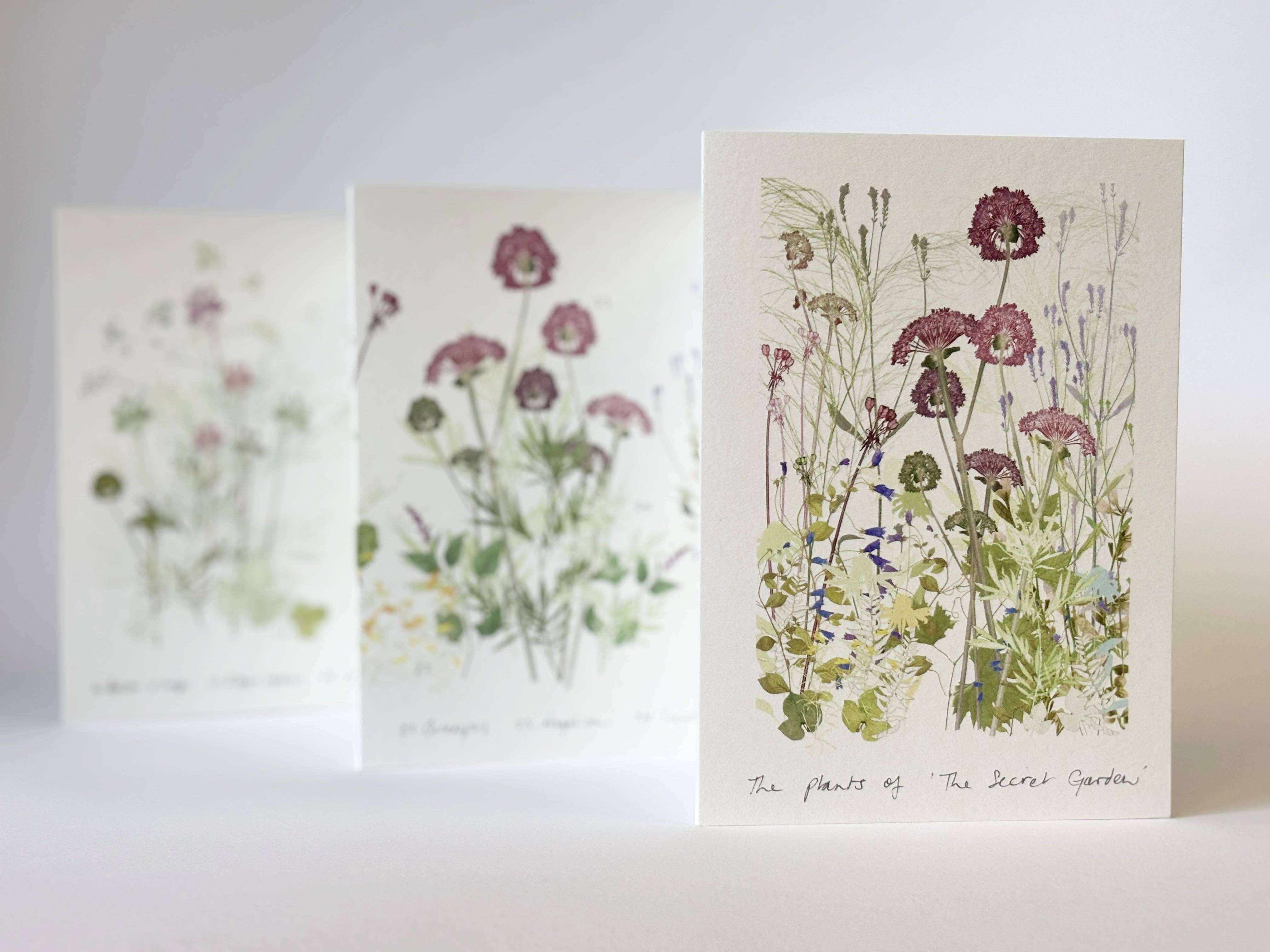 Amanda Ross - Wholesale Nature & Outdoors - 'The Secret Garden' Concertina Book2