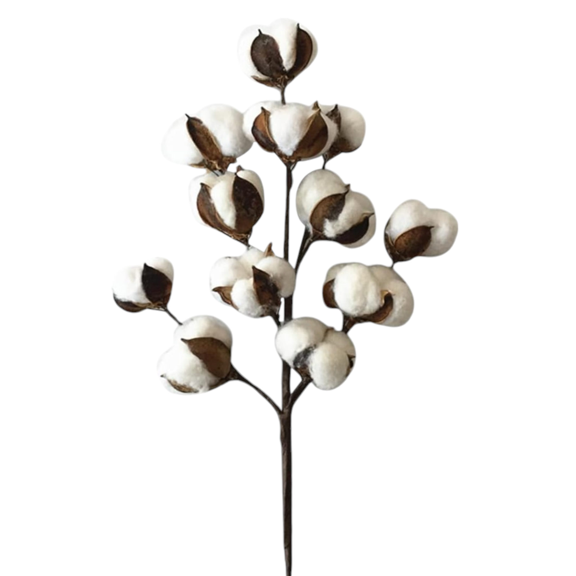 Wilco Home - Wholesale Artificial Flowers - 27.5'' 12 Bolls Cotton Spray5