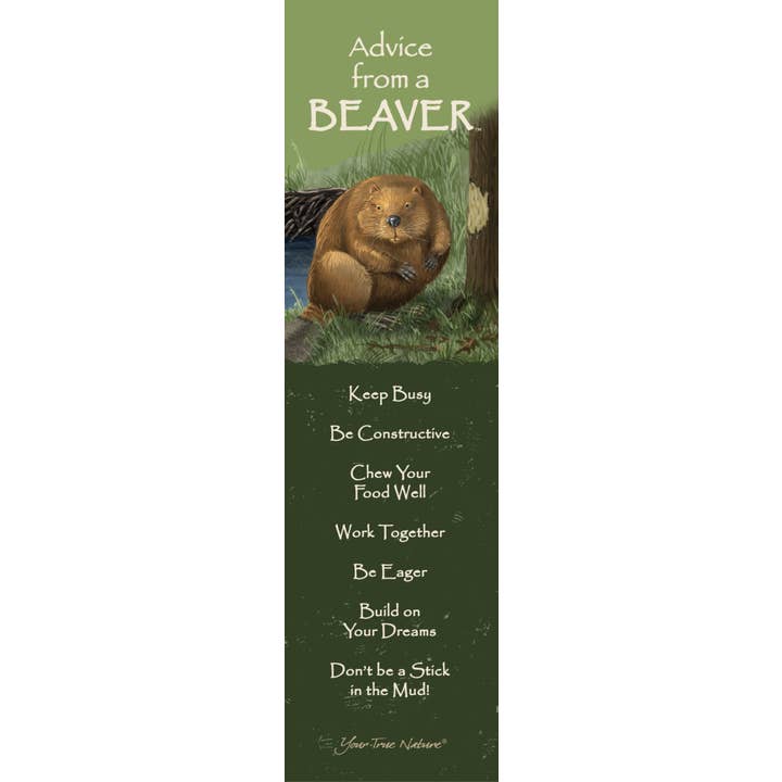 Advice from a Beaver Laminated Bookmark for wholesale by Advice for Life by Your True Nature