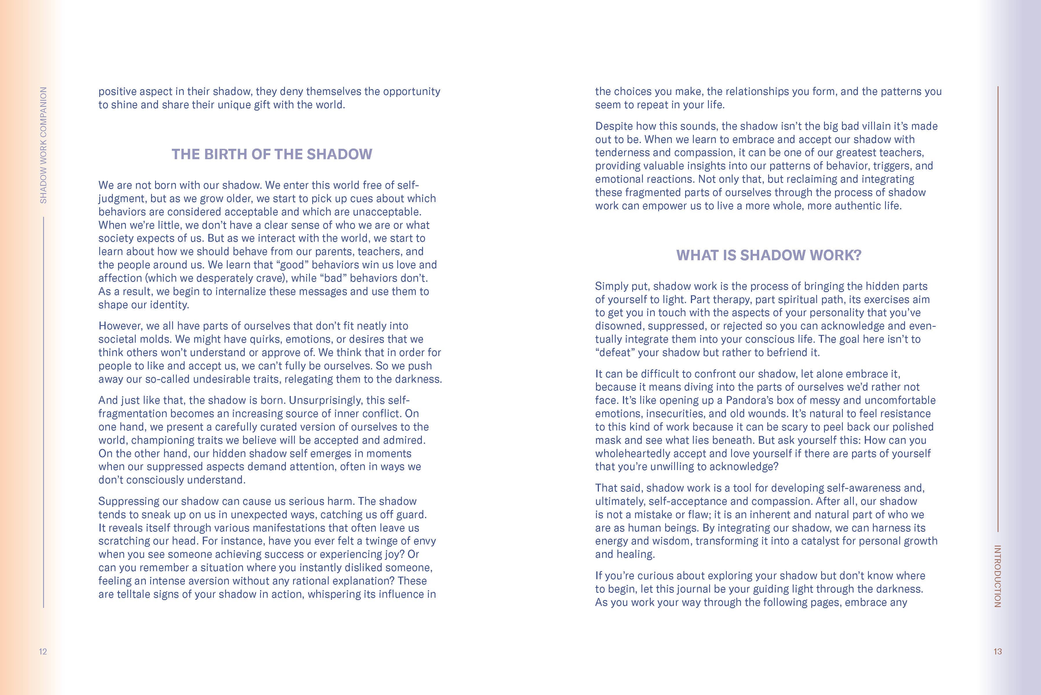 Chronicle Books - Wholesale Journal/Diary - Shadow Work Companion9