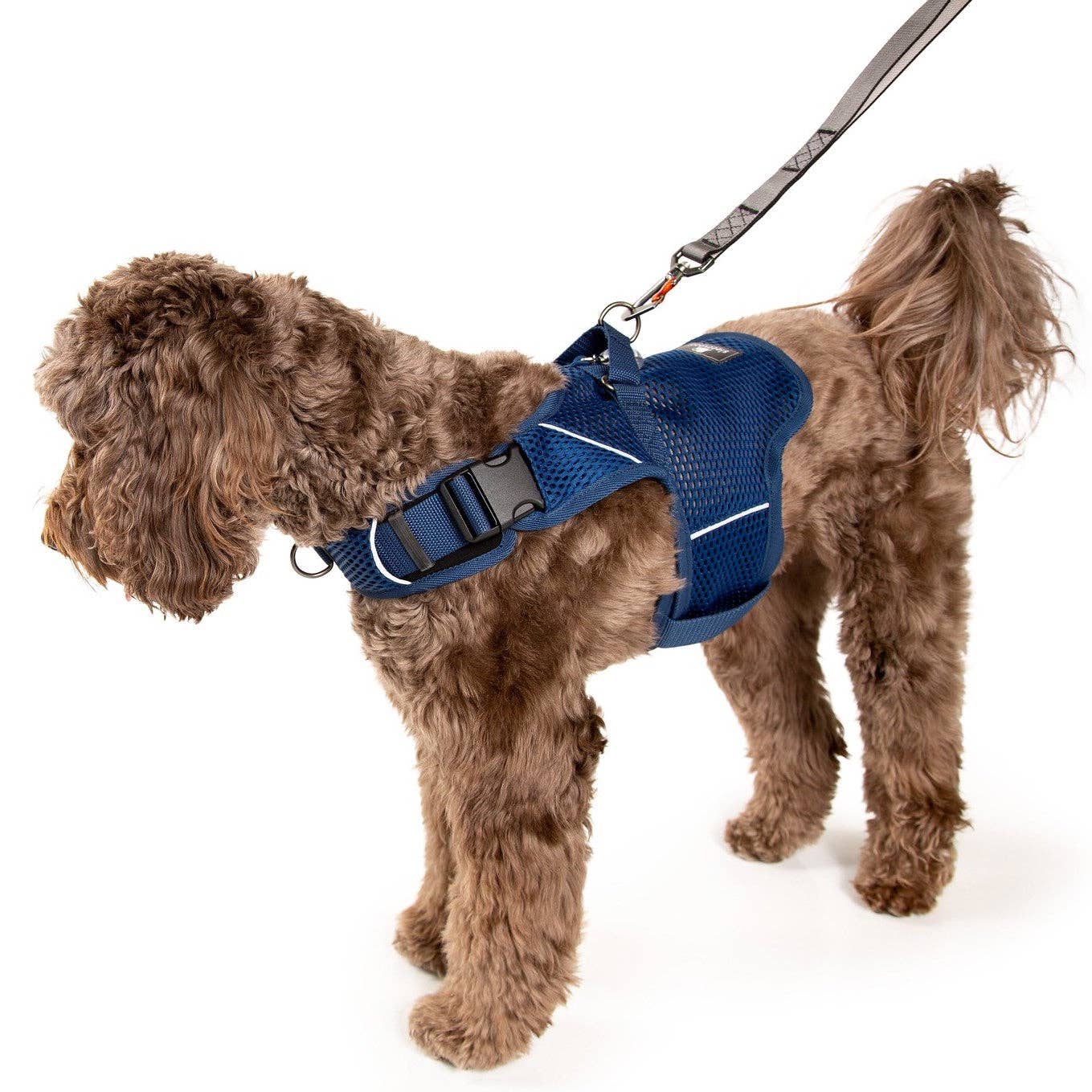 Sleepypod - Wholesale Pet Harness - Dog - Martingale Calming Harness for dogs21