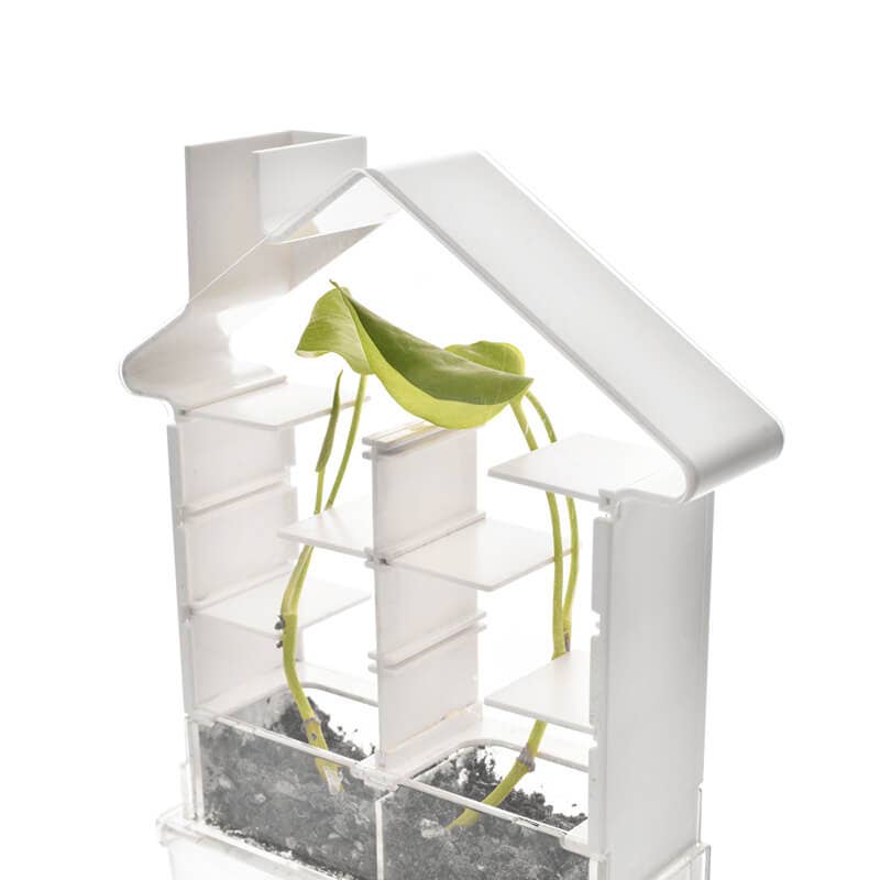 PlaySTEM - Wholesale DIY Craft Kit - Kids - Plant Maze - Botany Set2