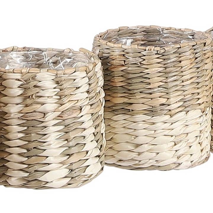 BIDKhome - Wholesale Plant Pot - Alexis Pot Round Case. 60 Pieces Total. Case Pack Only.