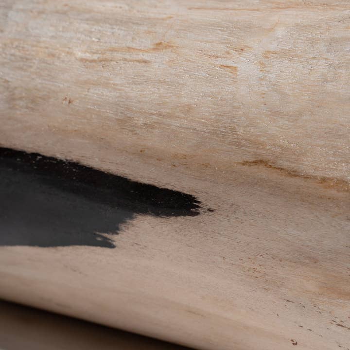 Office Objets - Wholesale Side Table - White petrified wood side table with black spots H:27.5 D:1882