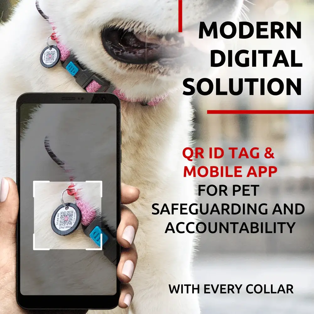 WAUDOG - Wholesale Pet Collar - Dog - Re-cotton Collar With Plastic Clasp15