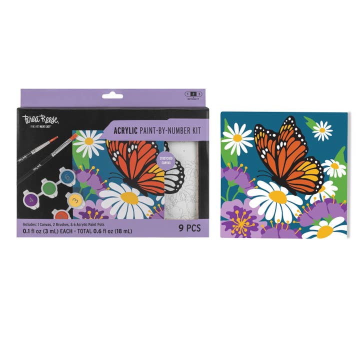 BR Mini Acrylic Pbn Butterfly Floral for wholesale by Momenta