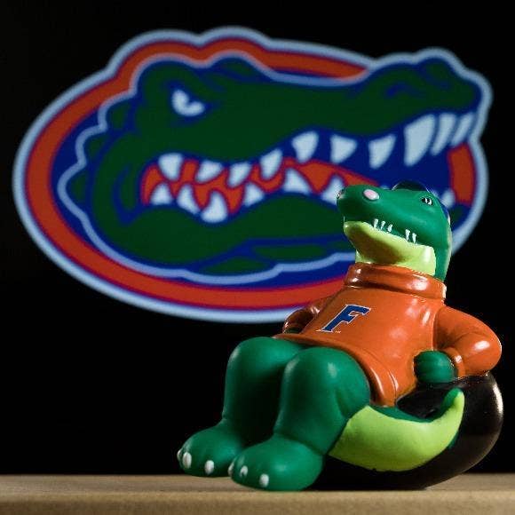 Rubber Tubbers - Wholesale Bath Toy - Baby - University of Florida - Gators - Albert The Alligator - Prem8