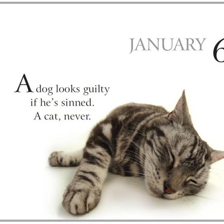 National Book Network - Wholesale Book - Adult - 365 Days With My Bossy Cat