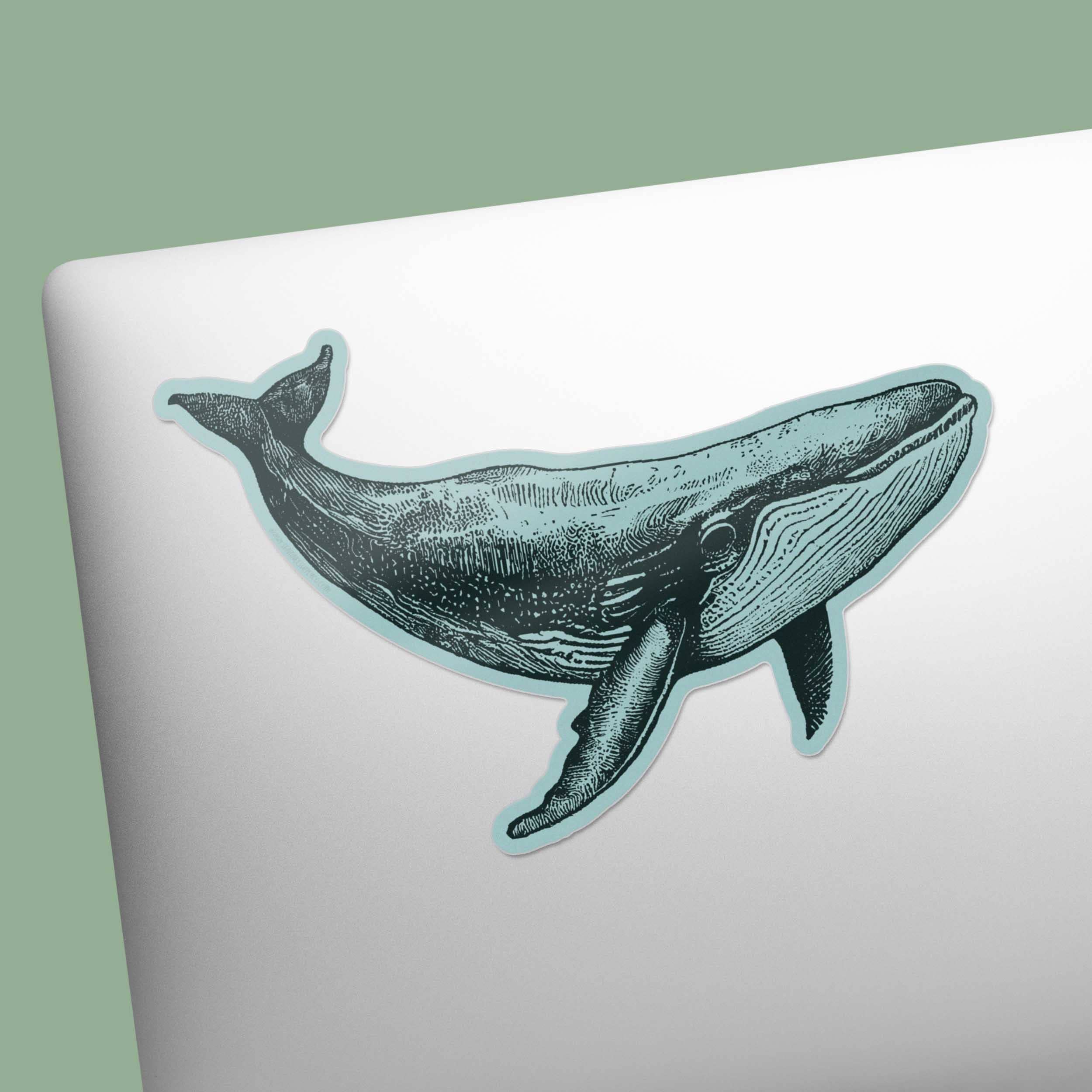 Sentinel Supply - Wholesale Sticker - Humpback Whale Sticker1